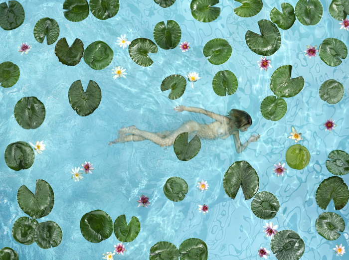 Water Lily by Patrick Van der Elst - Online Art Gallery